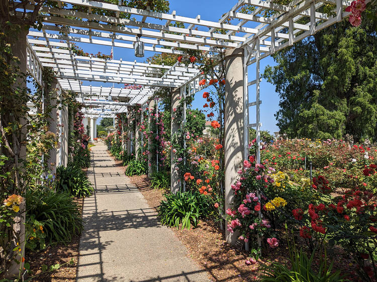 Stroll through a botanical garden together