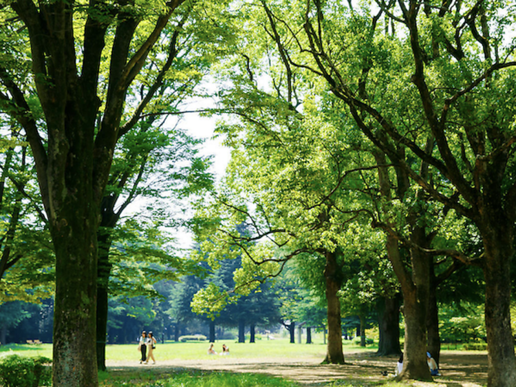 代々木公園にスケートボードパーク