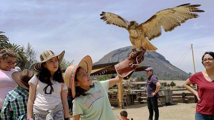 Familia conociendo a las aves en Rancho La Mesa