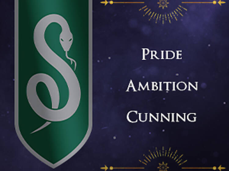 SLYTHERIN