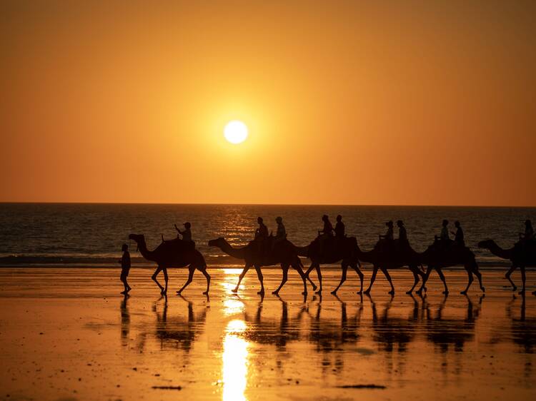 Go on a sunset camel ride on Cable Beach