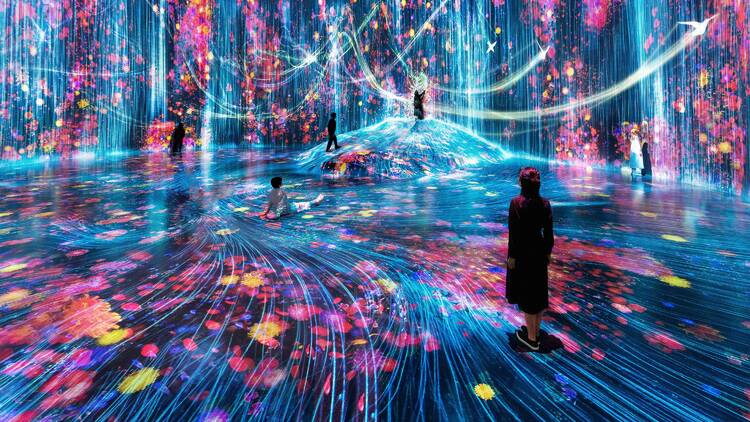 Universe of Water Particles on a Rock where People Gather at teamLab Borderless