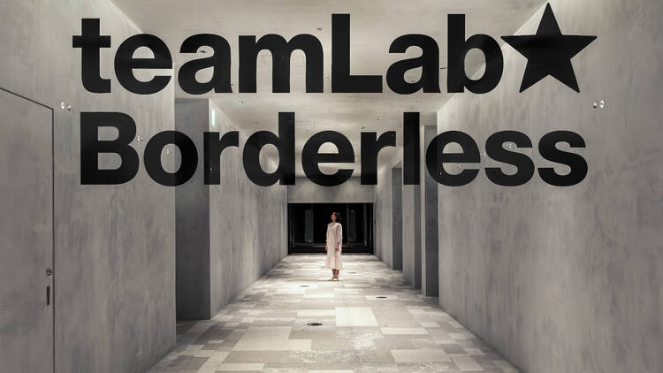 teamLab Borderless entrance