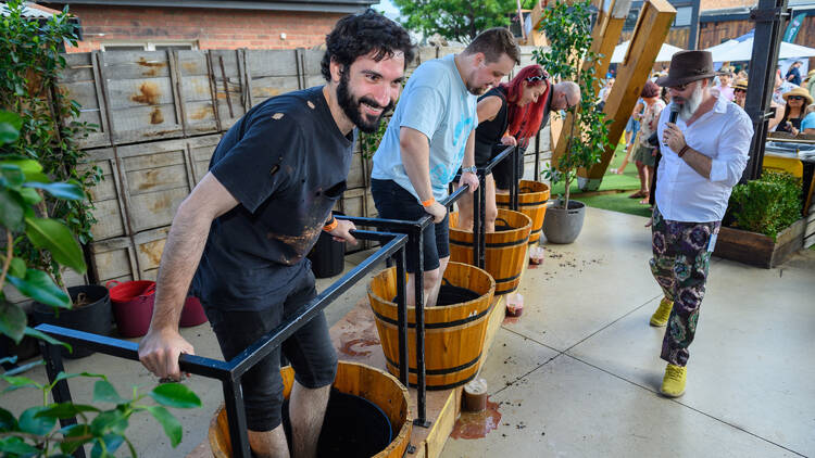 Men and women stomping grapes in barrels.
