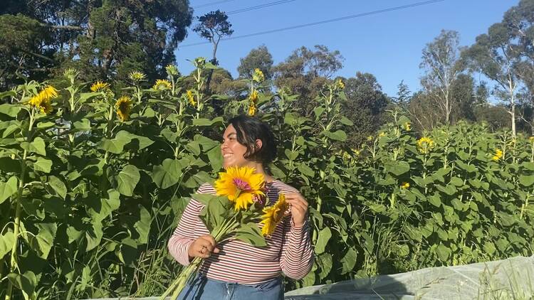 A person standing holding a bouquet of sunflowers. 