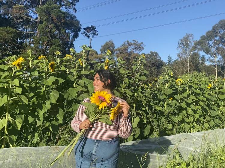 A person standing holding a bouquet of sunflowers. 