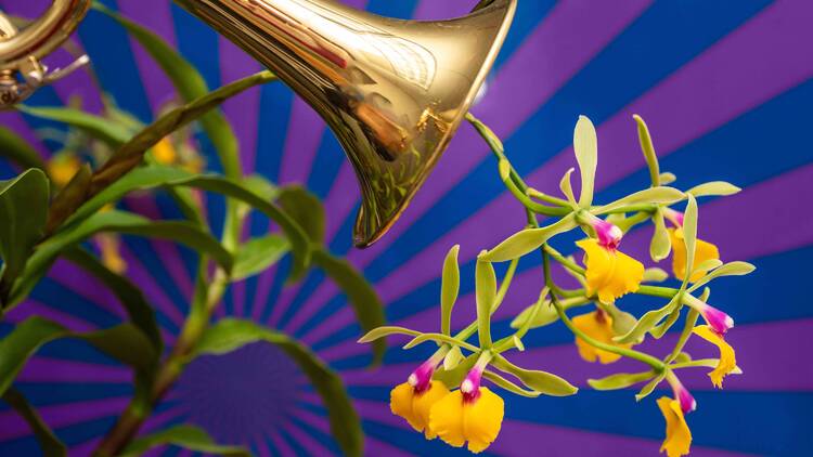 orchids coming out of a trumpet