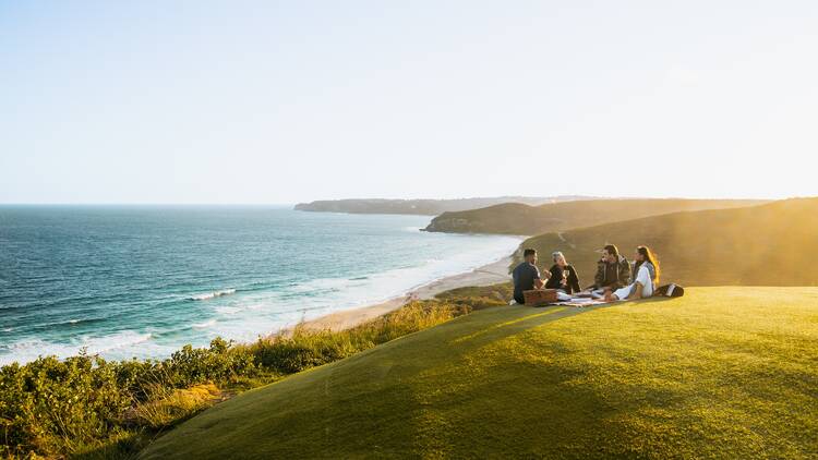 Picnic at Hickson Street lookout