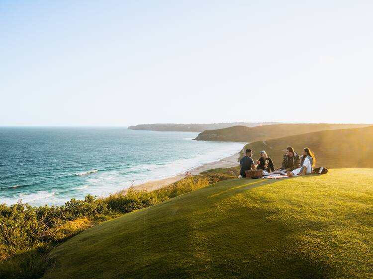 Picnic at Hickson Street lookout