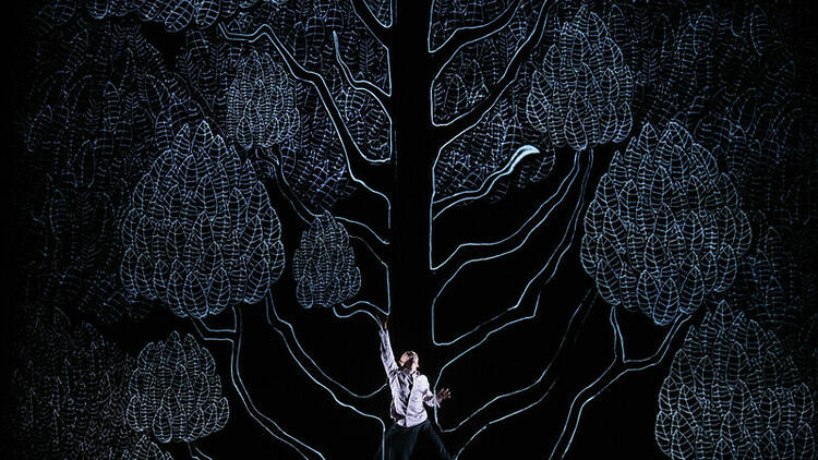 A man reaching one hand up to the sky. He appears small in front of a large black and white drawing of a tree behind him. 