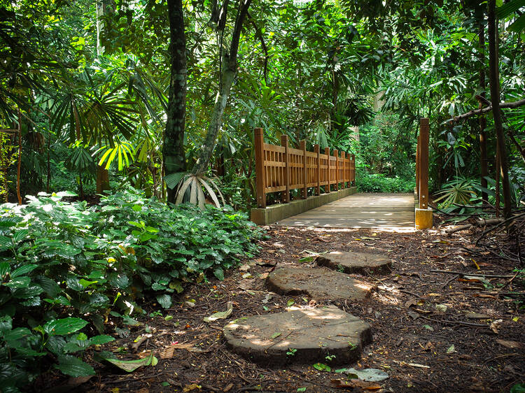 Bukit Timah Nature Reserve