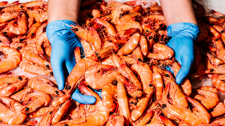 A handful of prawns 