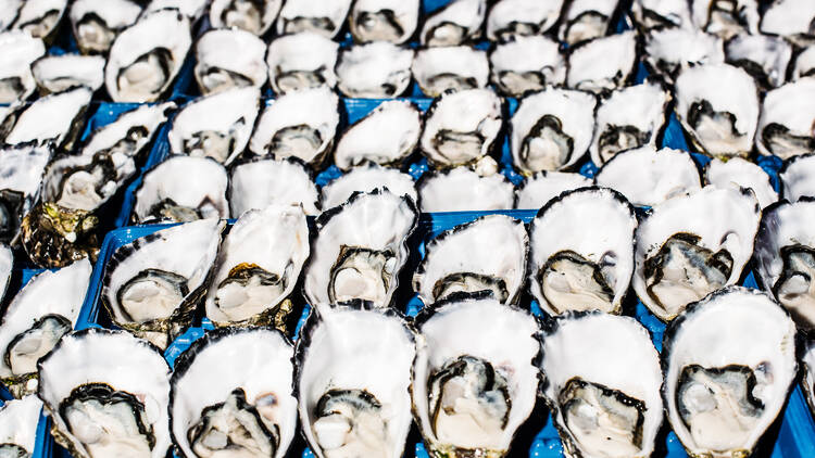 A box of pacific oysters