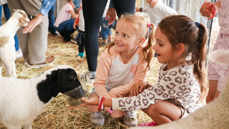 Two girls feeding a goat from a small bucket 