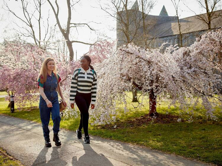 Keele University, Staffordshire