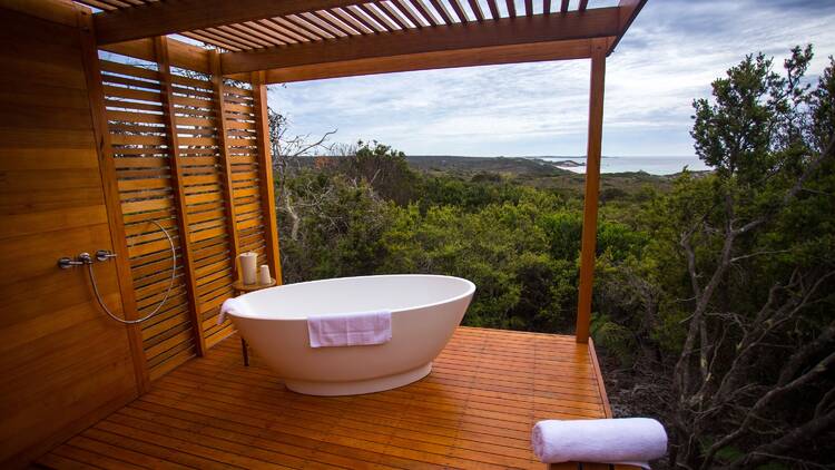 Outdoor bathtub in a forest