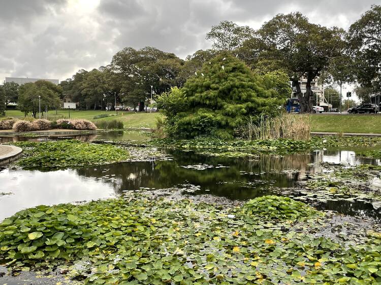 Asbestos has now been found in the mulch of 22 Sydney sites including parks