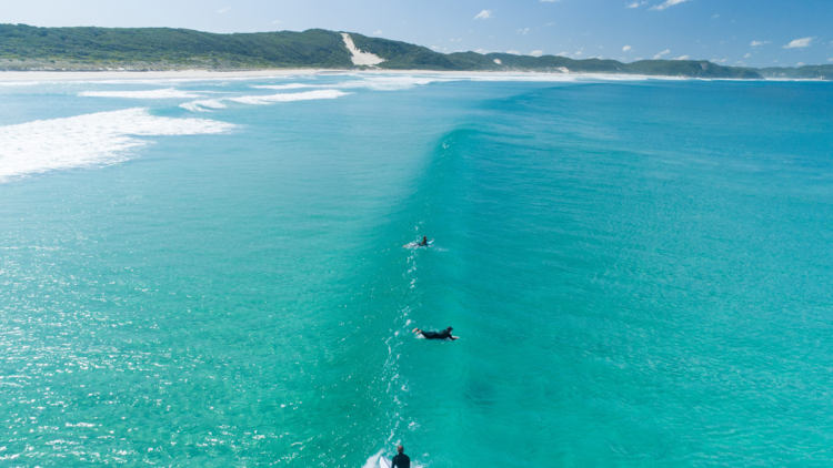 Surfers from above in blue water