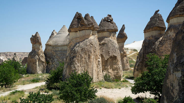 Paşabağları