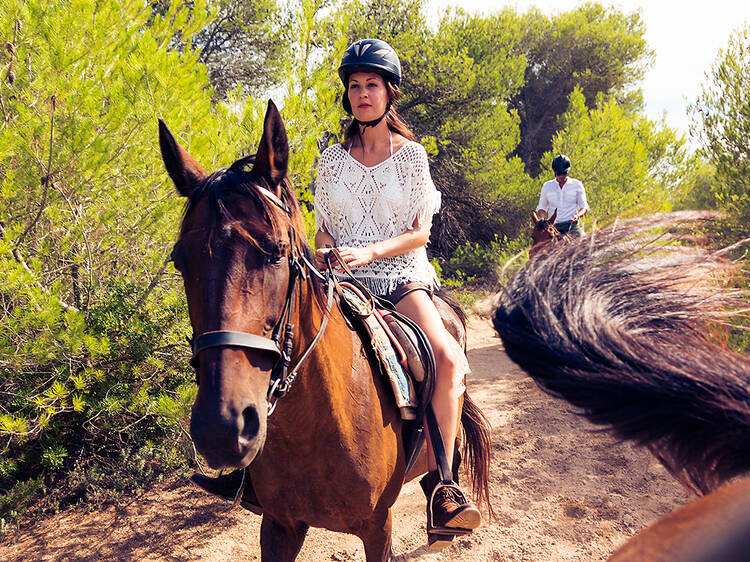 Take a horseback riding tour