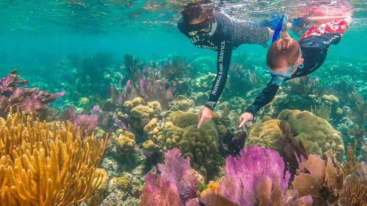 Dry Tortugas National Park | Key West, FL