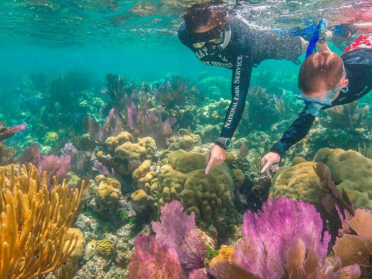 Dry Tortugas National Park | Key West, FL