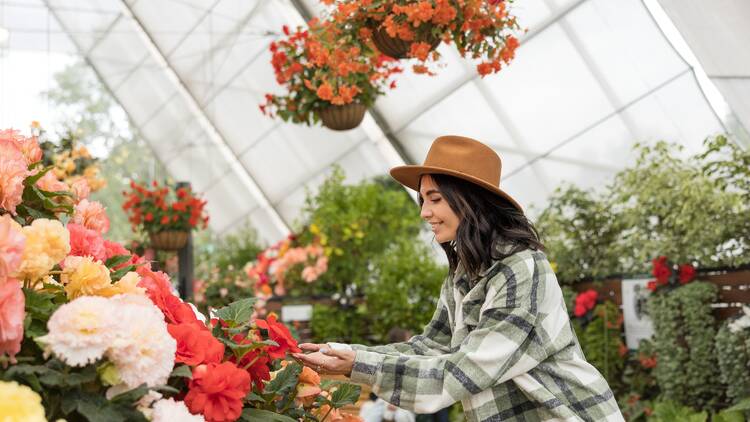 A person looking at some flowers.