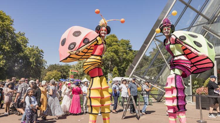 Performers on stilts dressed as insects. 