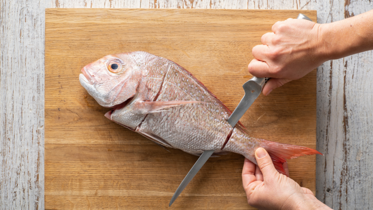 Learn to fillet a fish like a pro