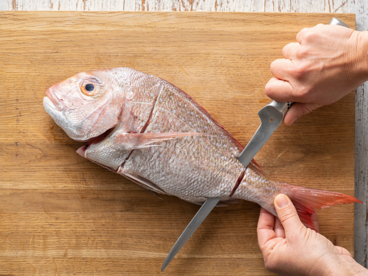 Learn to fillet a fish like a pro