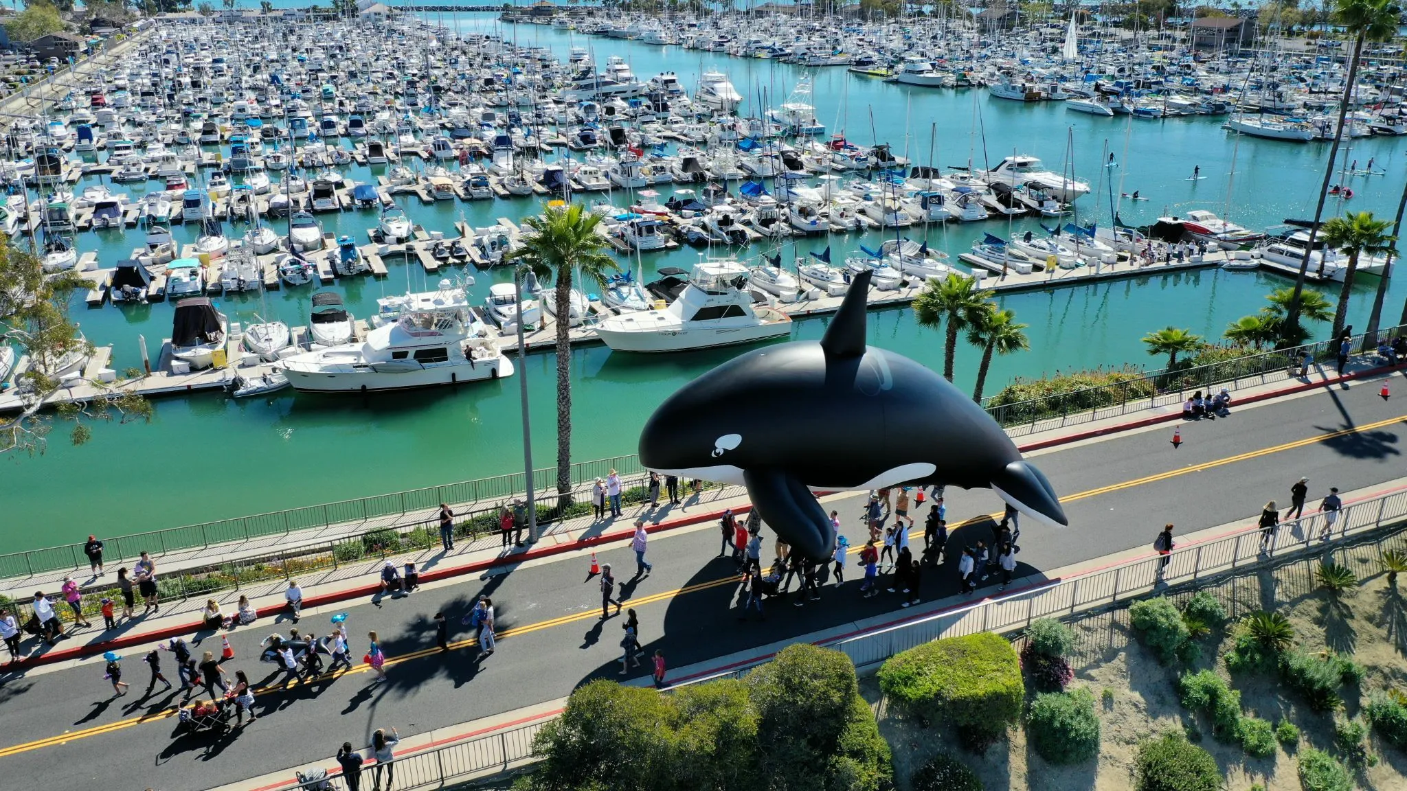 Dana Point Festival of Whales