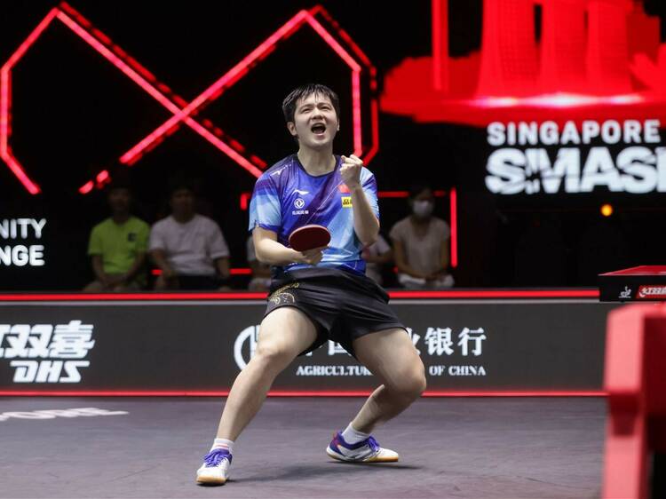Watch the best table tennis players in the world