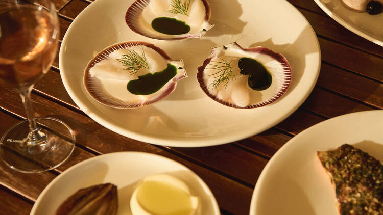 A plate of scallops