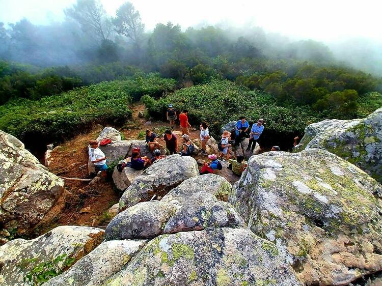 Caminhar e ouvir músicos na Serra de Sintra