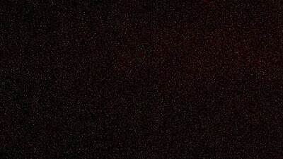 The best things to do in NYC this week The best things to do in NYC this week