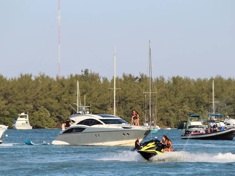 Miami Waterlife Tours