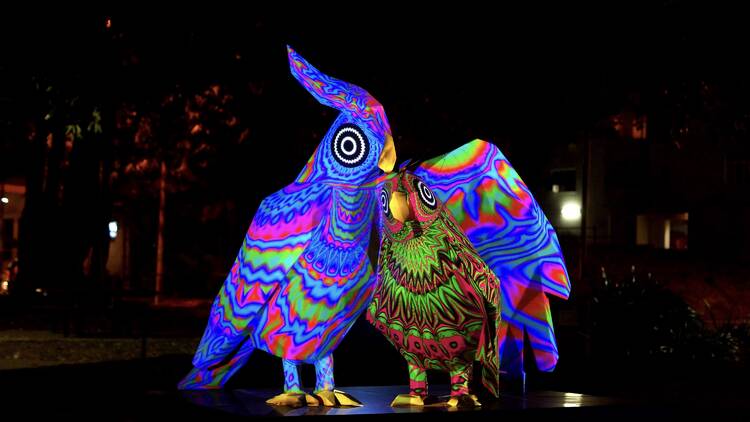 Two giant rainbow lit-up bird art pieces.