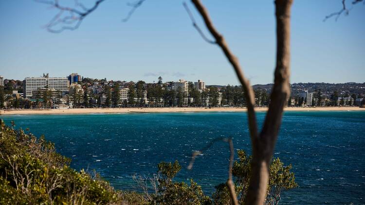 View of Manly beach
