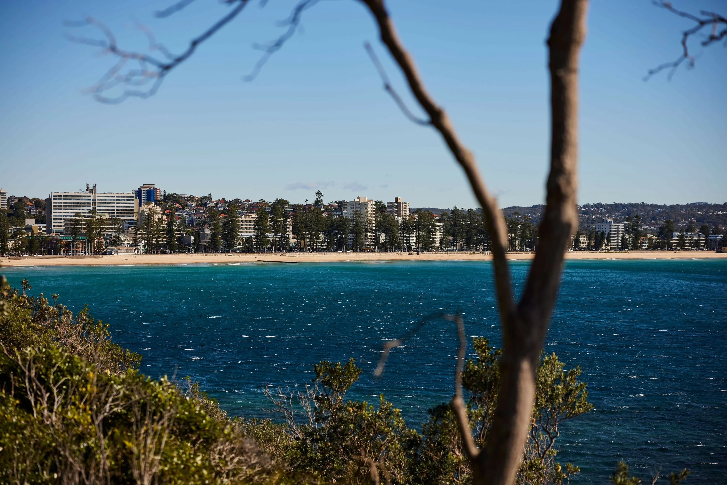 View of Manly beach