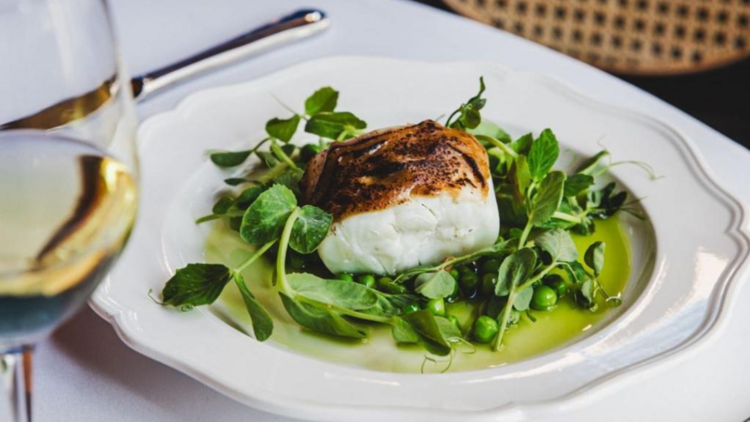 Fish fillet on a bed of greens