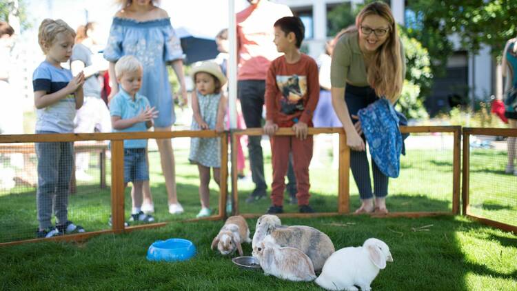 Riverscape pop-up farm