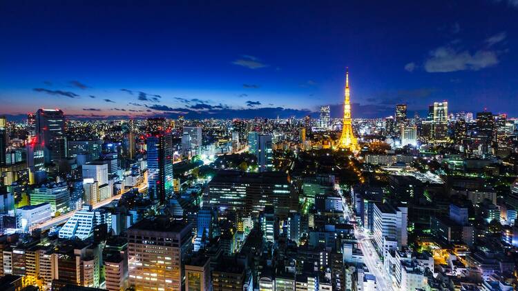 Tokyo, Japan skyline at night