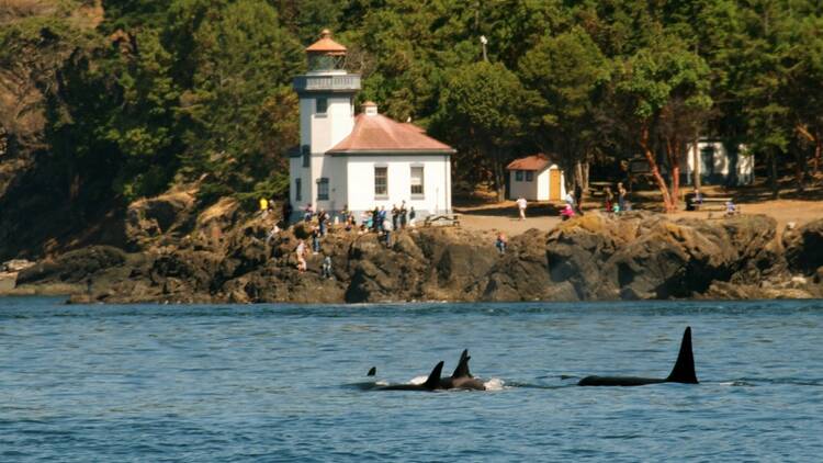 San Juan Islands, WA