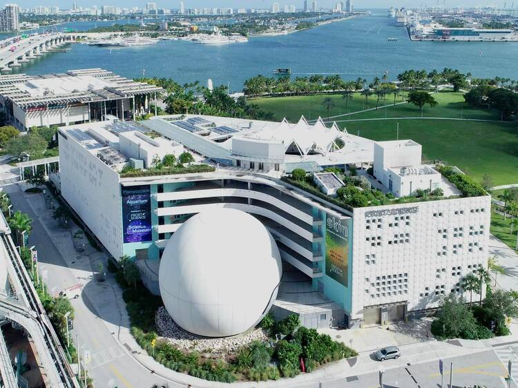 The best museums in Miami