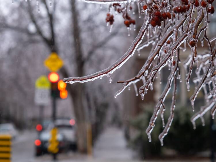 100,000 Montreal homes without power as temperatures plummet