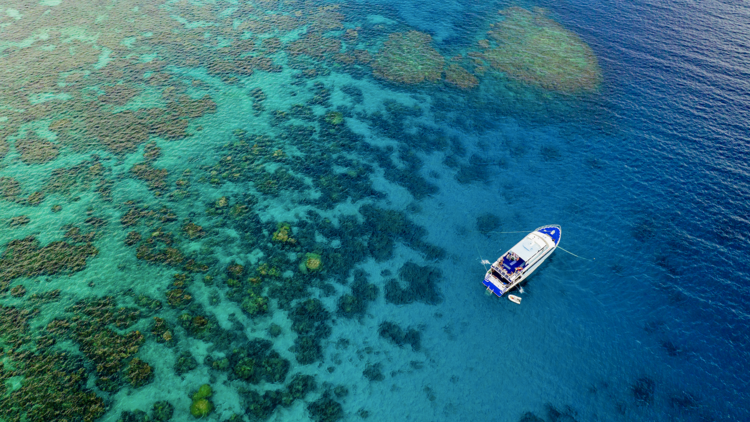 Cairns reefs