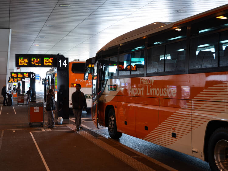 Airport Limousine Bus