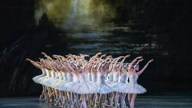 Swan Lake