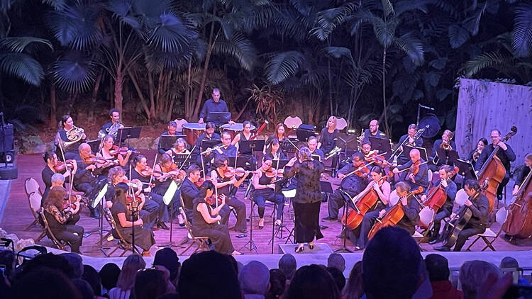 Orchestra Miami Orchestra Miami