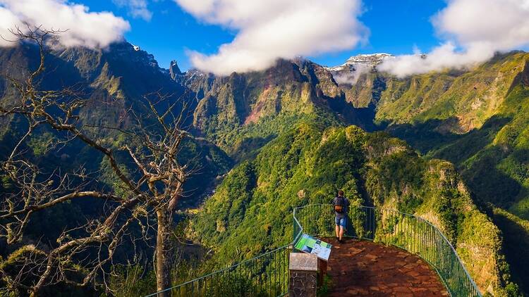 The Balcoes Viewpoint in Madeira